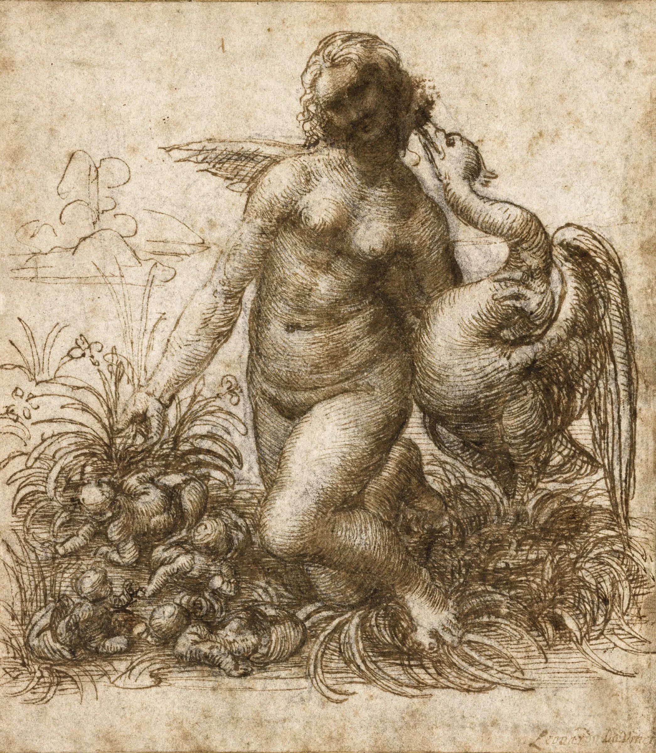 Estudios para Leda de Leonardo da Vinci, dibujos de figuras, cabezas y posturas reunidos sobre papel.